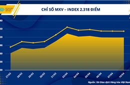 Nhóm kim loại gặp sức ép từ đồng USD