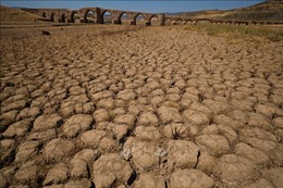 Tây Ban Nha kêu gọi EU viện trợ khẩn cấp cho nông dân ứng phó hạn hán
