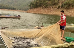 Nuôi cá lồng trên lòng hồ thuỷ điện giúp người dân xứ Thanh thoát nghèo