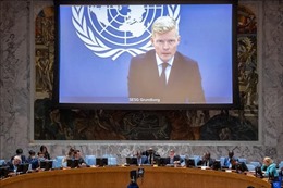 Đặc phái viên Liên hợp quốc đánh giá cơ hội hòa bình cho Yemen