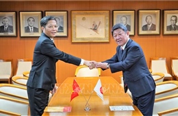 50 năm quan hệ Việt Nam - Nhật Bản: Thúc đẩy quan hệ đối tác chiến lược sâu rộng