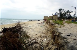 Giải pháp bền vững chống sạt lở bờ biển tại Quảng Nam