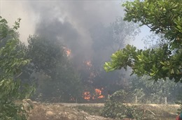 Làm rõ nguyên nhân vụ cháy hơn 20 ha rừng phòng hộ ven biển ở Quảng Nam