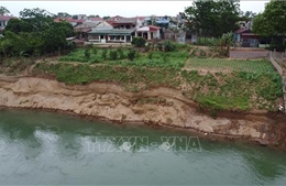 Phú Thọ: Sạt lở bờ sông Đà, uy hiếp tính mạng và tài sản của nhiều hộ dân