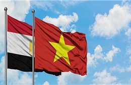 Kênh truyền hình Nile TV phát sóng trực tiếp về quan hệ Việt Nam - Ai Cập