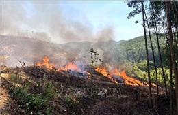 Liên tiếp xảy ra hai vụ cháy rừng ở Quảng Trị
