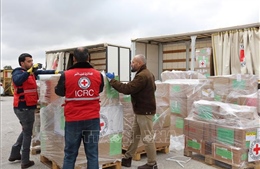 Ủy ban Chữ thập đỏ quốc tế tiến hành đợt cắt giảm nhân sự quy mô lớn