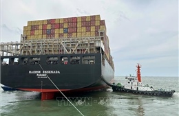 Kịp thời cứu kéo tàu container &#39;siêu khủng&#39; mắc cạn trên luồng Vũng Tàu - Thị Vải