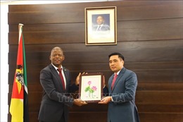 Việt Nam và Mozambique hướng tới đẩy mạnh hợp tác, phát triển nông nghiệp