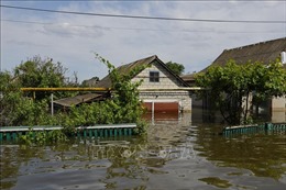 Vụ vỡ đập Kakhovka: Mực nước hạ lưu sông Dnieper có thể bình thường trở lại vào tuần tới