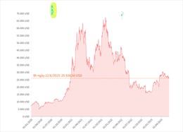 Thị trường tiền điện tử tuần qua &#39;đỏ lửa&#39;