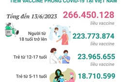 Tình hình tiêm vaccine phòng COVID-19 tại Việt Nam tính đến hết ngày 13/6/2023