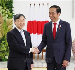 Indonesia khẳng định vun đắp tình hữu nghị với Nhật Bản