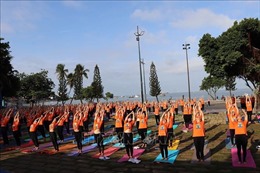 Khoảng 1.000 người đồng diễn hưởng ứng Ngày Quốc tế Yoga