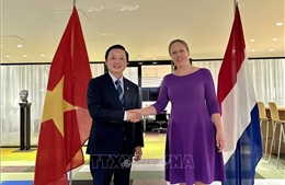 Phó Thủ tướng Trần Hồng Hà thăm và làm việc tại Hà Lan