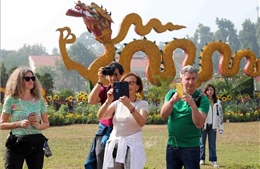 Khách quốc tế đến Việt Nam đạt hơn 5,5 triệu lượt trong 6 tháng đầu năm​
