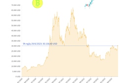 Giá Bitcoin giữ ở mức ổn định trên 30.000 USD   