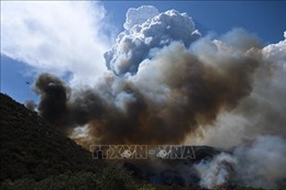 Cháy rừng nghiêm trọng ở Mỹ khiến trên 1.100 người phải sơ tán