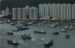 Trung Quốc: Bão Talim ảnh hưởng đến dịch vụ vận tải ở tỉnh Hải Nam