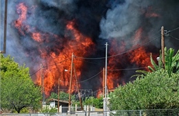 Cháy rừng ở Hy Lạp bước sang ngày thứ 3