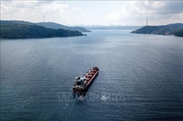 Ukraine thiết lập tuyến vận tải biển tạm thời duy trì xuất khẩu ngũ cốc