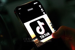 New York: Cấm sử dụng TikTok trên các thiết bị công vụ