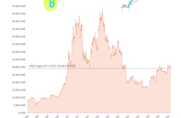 Giá Bitcoin giảm xuống sát mốc 29.000 USD   