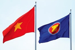 Vai trò tích cực của Việt Nam tạo động lực cho ASEAN