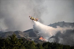 Hy Lạp: Cháy rừng lan rộng vượt kiểm soát trên đảo Crete