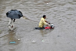 Pakistan: Tỉnh Punjab sơ tán hàng trăm người do lũ lụt