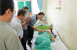 Vụ lật xe khách tại Khánh Hòa: Toàn bộ 16 du khách nước ngoài bị thương đã phục hồi và về nước