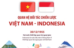 Quan hệ Đối tác Chiến lược Việt Nam - Indonesia