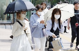 Nhật Bản ghi nhận nhiệt độ lần đầu tiên lên mức 40 độ C trong mùa hè này