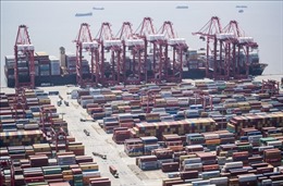 Xuất khẩu của Trung Quốc giảm mạnh nhất kể từ năm 2020