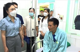 Sức khỏe 8 bệnh nhân bị ngộ độc hoa chuông đã tạm ổn định