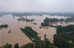 Lũ lụt ở Trung Quốc có thể gây áp lực lên giá lương thực toàn cầu