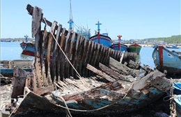 Ngổn ngang xác tàu cá mục nát tại cảng Sa Huỳnh