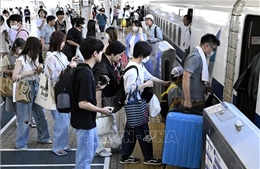 Nhật Bản hủy nhiều chuyến bay và dịch vụ tàu cao tốc do ảnh hưởng của bão Lan