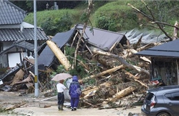 Ít nhất 49 người bị thương khi bão Lan đổ bộ Nhật Bản