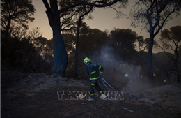 Tây Ban Nha sơ tán khẩn cấp nhiều làng mạc do cháy rừng lan rộng