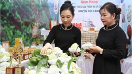 Lạng Sơn: Quảng bá, tiêu thụ na và các sản phẩm OCOP 