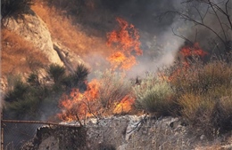 Mỹ ghi nhận số vụ cháy rừng do con người gây ra &#39;tăng đáng kể&#39;