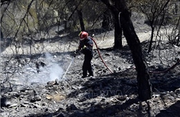 Lính cứu hỏa quân đội Romania tham gia dập cháy rừng ở Pháp