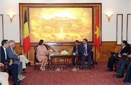 Thừa Thiên - Huế: Thúc đẩy hợp tác với các địa phương của Bỉ