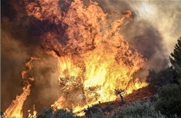 Hy Lạp ban bố lệnh sơ tán mới do cháy rừng lan rộng