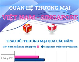Quan hệ thương mại Việt Nam - Singapore