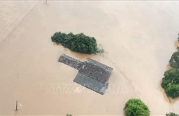 Brazil: Khoảng 90 người thiệt mạng và mất tích do bão nhiệt đới