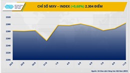 Sắc xanh phủ kín bảng giá hàng hoá, chỉ số MXV-Index cao nhất 5 tuần