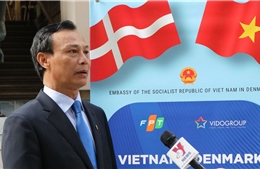 Quan hệ Việt Nam - Đan Mạch ngày càng đi vào chiều sâu, thực chất và hiệu quả