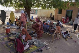 Xung đột tại Sudan: Ai Cập cứu trợ hàng trăm tấn hàng